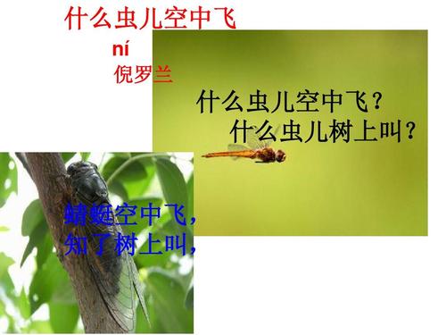 什么虫儿树上叫?什么虫儿树上叫的儿歌仿写!