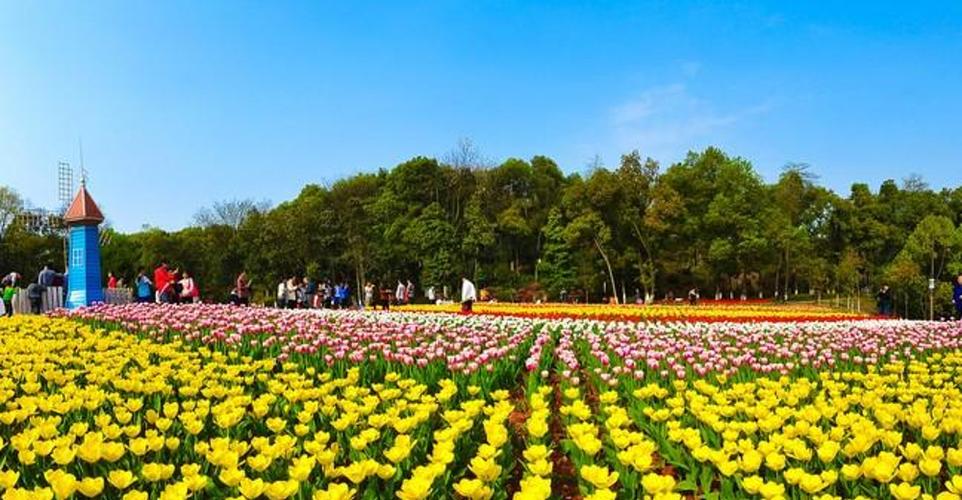 长沙植物园门票？长沙植物园门票免费？