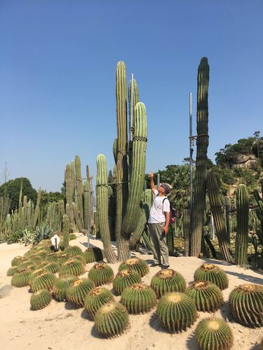 万石植物园，万石植物园门票多少钱！