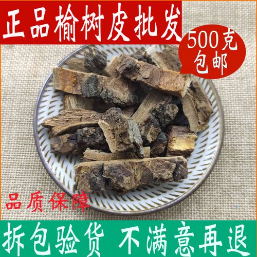 红榆树?红榆树皮的功效与作用!