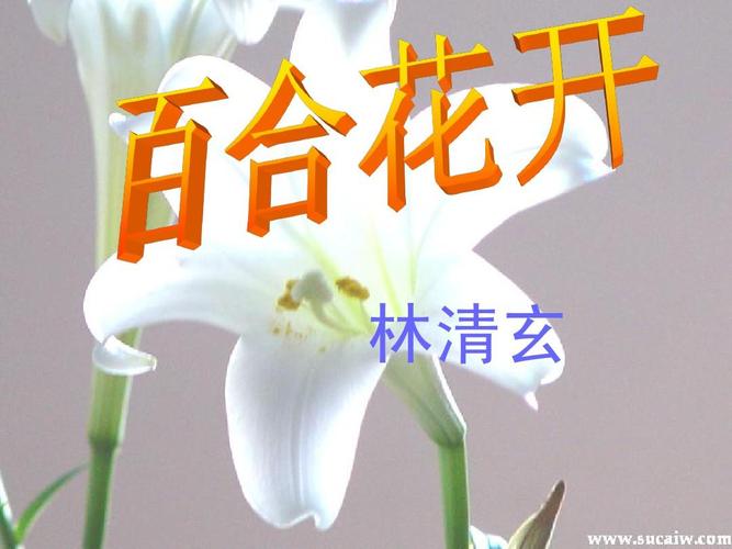 百合花开?百合花开林清玄原文!