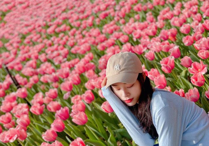 花海图片，花海图片高清图片