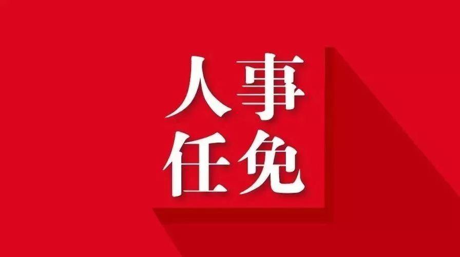 中央最新人事任免?!