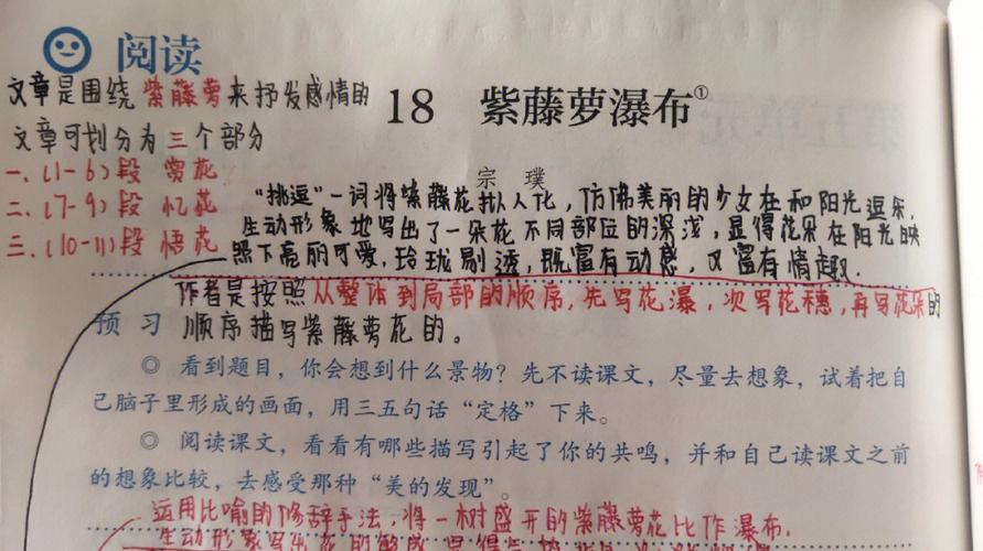 紫藤萝瀑布课堂笔记?紫藤萝瀑布课堂笔记图片!