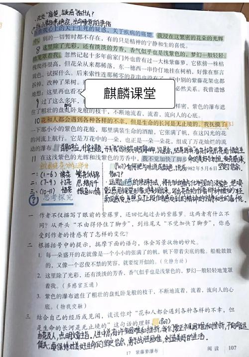 紫藤萝瀑布课文笔记?紫藤萝瀑布课文笔记图片!