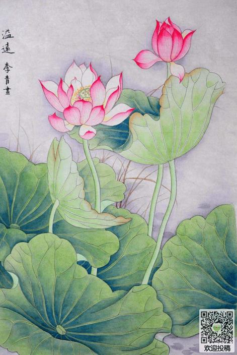 荷花图片大全？荷花图片大全绘画？