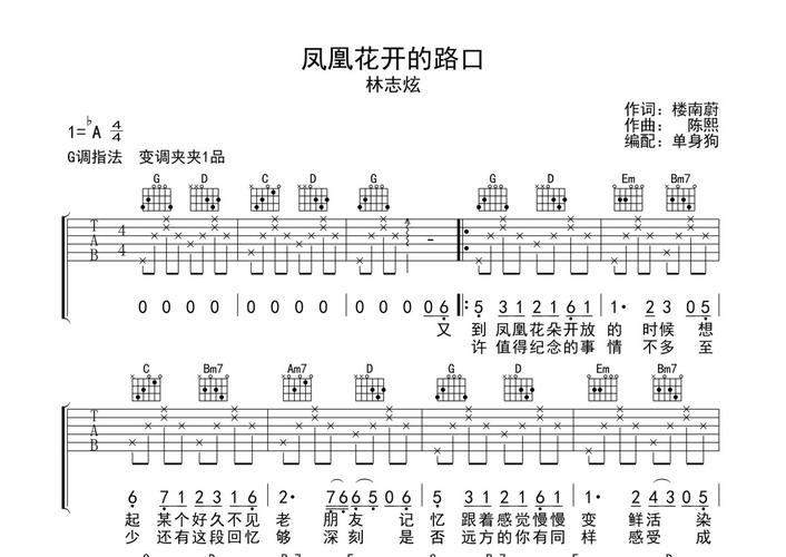 凤凰花开的路口?凤凰花开的路口歌词!