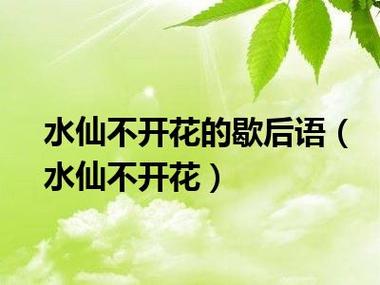 水仙不开花的歇后语?水仙不开花的歇后语是什么意思!