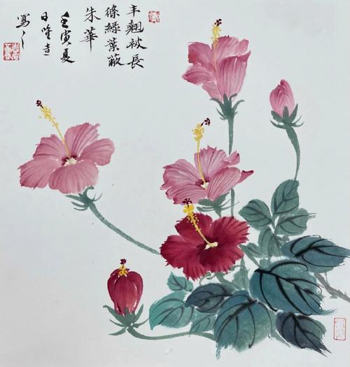 扶桑花图片？国画扶桑花图片？