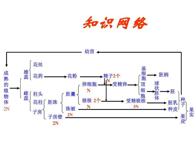 被子植物，被子植物出现在什么时期