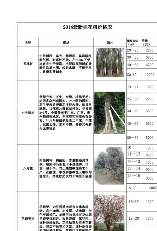 桂花树价格表?桂花树价格表精编!