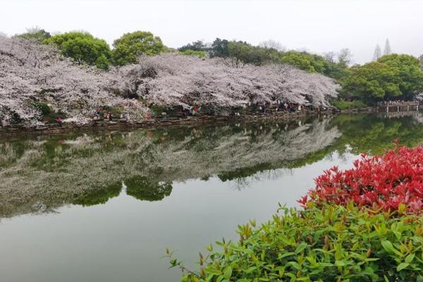 长沙植物园?长沙植物园门票多少钱一张!