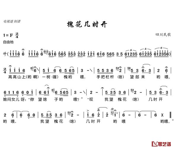 槐花几时开歌词?槐花几时开歌词鉴赏!