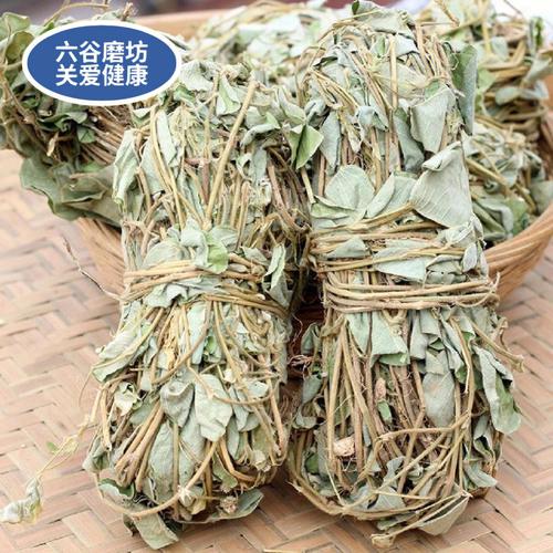 金钱草图片?金钱草图片 植物图片!