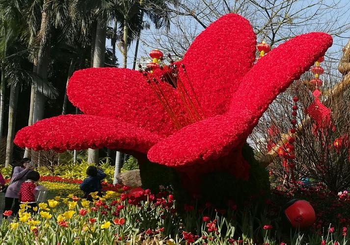 春节应节花卉?春节应节花卉图片大全!