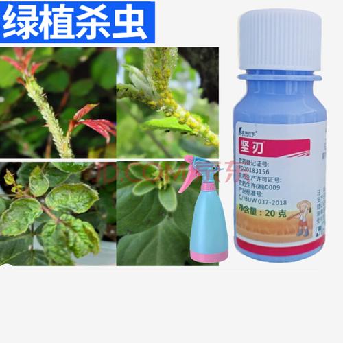 花卉叶片杀虫?花卉叶片杀虫用什么药!