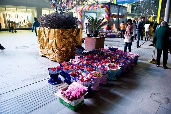 汉阳王家湾花卉?汉阳王家湾花卉市场地址!