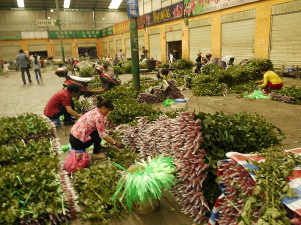 花卉流通加工?花卉流通加工方法!