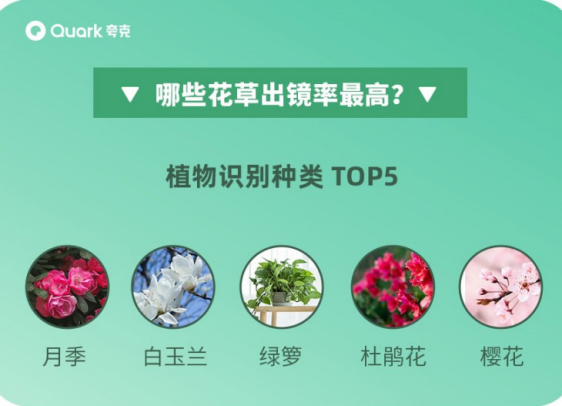 花卉识别夸克?夸克怎么识别花草!