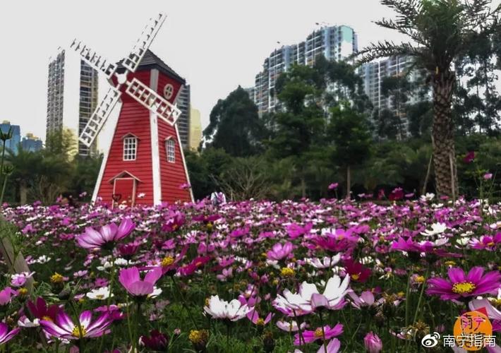 南宁花卉示范基地?南宁花卉示范基地在哪里!