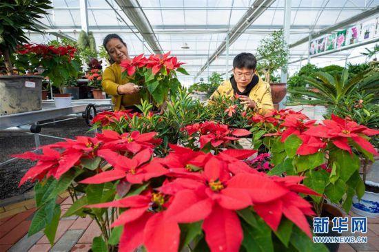 花卉批发工作内容?花卉批发工作内容怎么写!