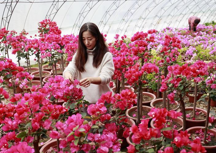 花卉产业为?花卉产业为乡村振兴添香增色!