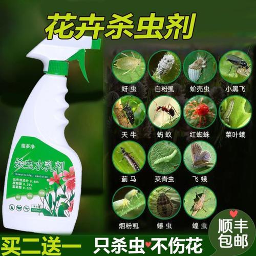 冬季花卉防虫?冬季花卉防虫用什么药!