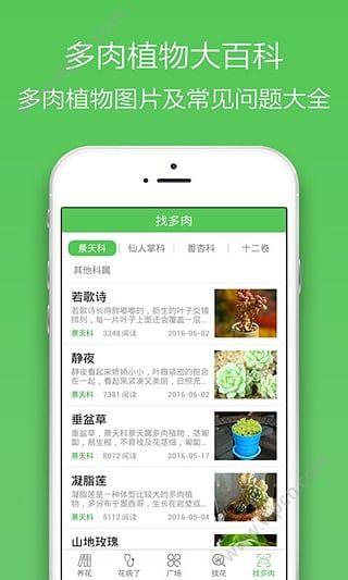 花卉批发app大全?花卉批发app大全下载!