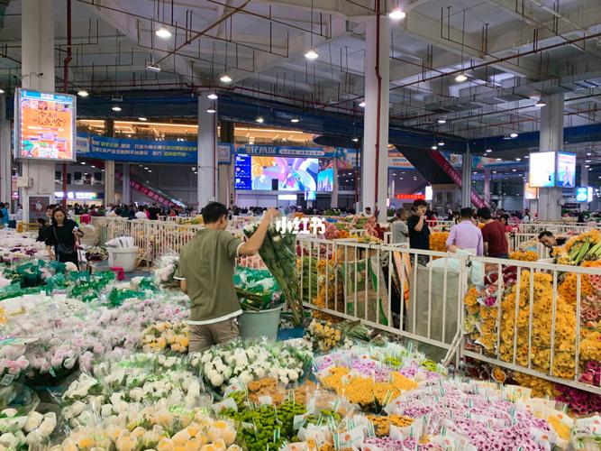 合肥花卉夜市?合肥花卉夜市在哪里!