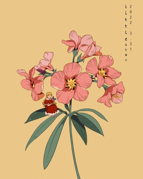 春季花卉插画?春季花卉插画图片!