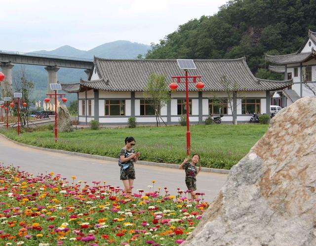 吉林通化花卉?通化花卉园在哪!