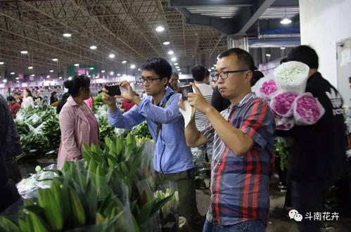 斗南花卉直播?斗南花卉直播助理是干嘛的!