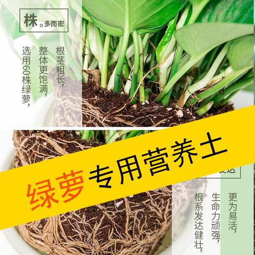 花卉专用土批发?花卉专用土批发价格多少!