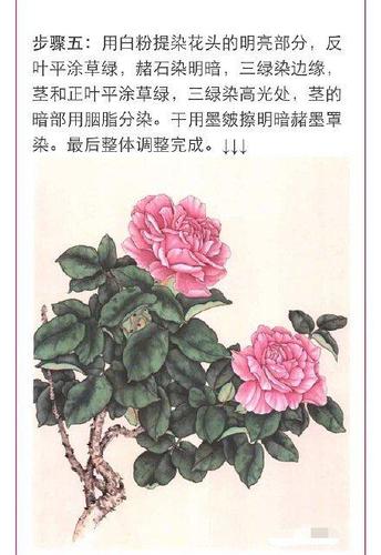 国画花卉的着色?国画花卉的着色方法!