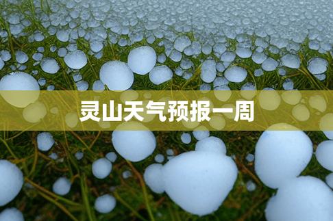 苏北花卉园天气?苏北花卉园天气预报!