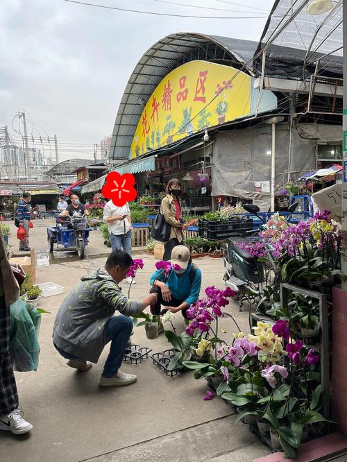 岭南花卉几点关门?岭南花卉市场几点开市?!