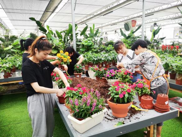 广州花卉种植培训?广州花卉种植培训学校!