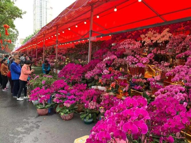 海珠花卉市场?海珠花卉市场营业时间!