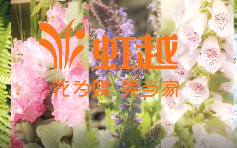 花卉企业宣传?花卉企业宣传片!