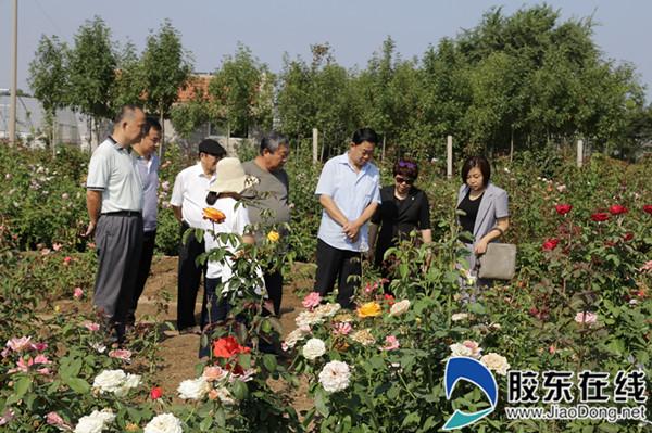 莱州花卉协会?莱州花卉协会会长!