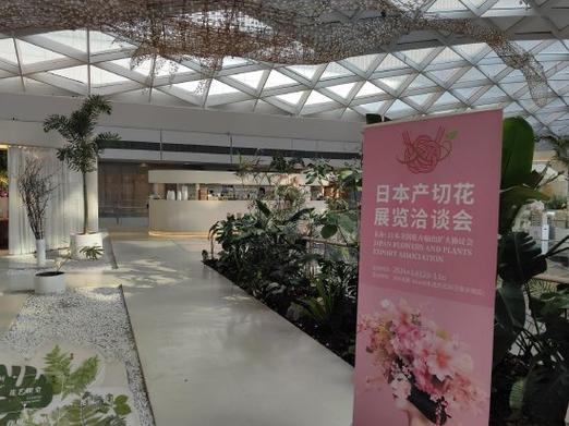 农园路花卉原?花园路花卉批发市场营业时间!