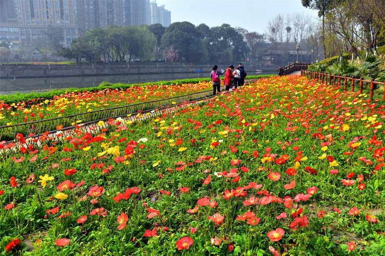 锦江花卉公园?锦江花卉公园开放时间!