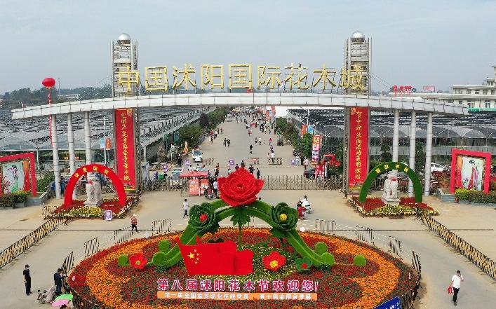 沭阳花卉直播市场?沭阳花卉直播市场在哪里!