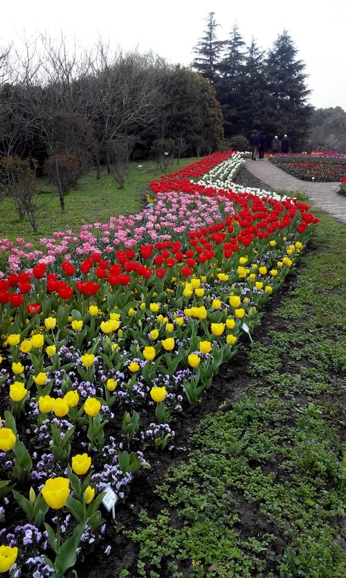 绿植花卉旅游?绿植花卉旅游图片!