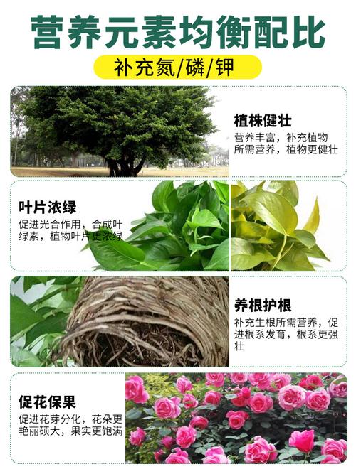 徐州花卉肥料价钱?徐州花卉肥料价钱表!