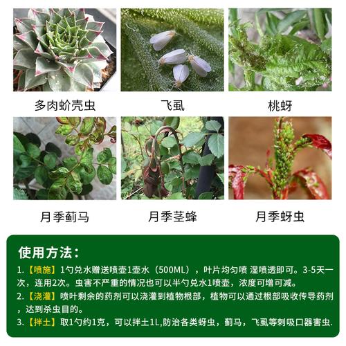 家庭花卉必备药?家庭花卉必备药品清单!