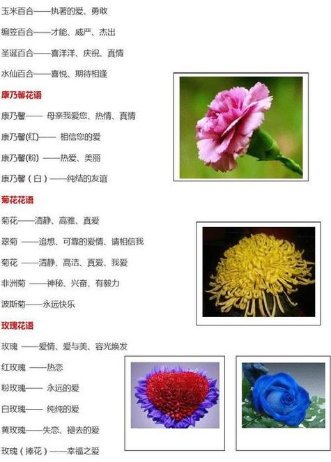 古代花卉花语?古代花卉花语是什么!