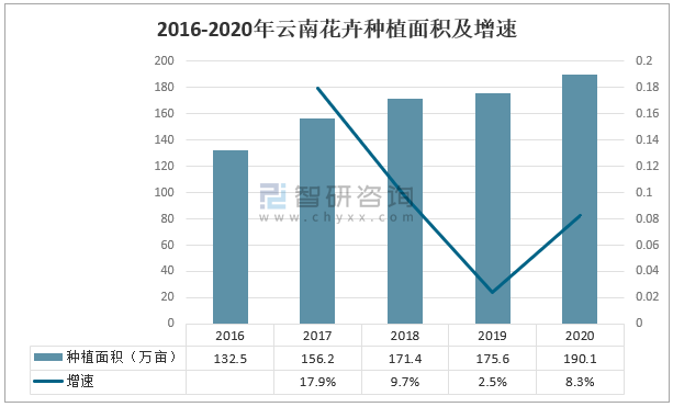 云南花卉现状分析?云南花卉现状分析报告!