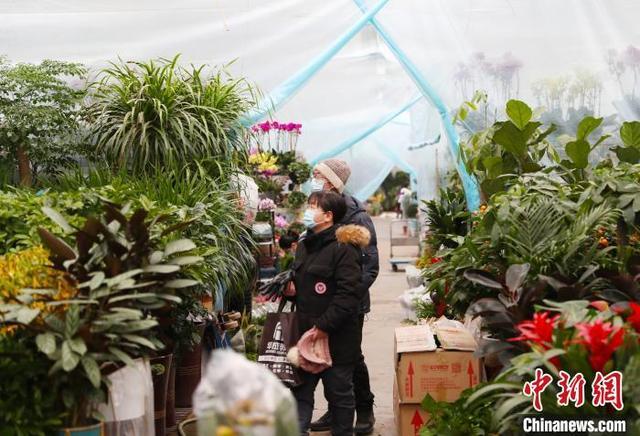 果洛青海花卉出售?青海花卉市场!